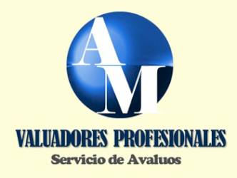 AM Valuadores Profesionales