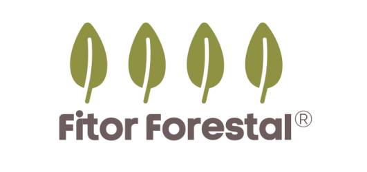 Fitor Forestal