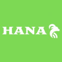 Hanastore