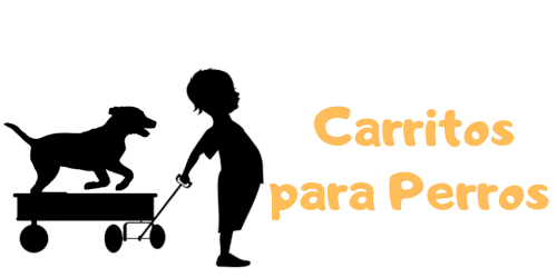 https://carritosparaperros.com/
