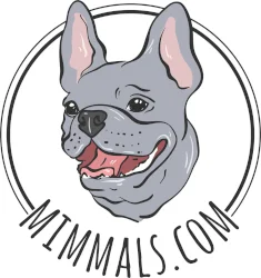 https://www.mimmals.com/es/